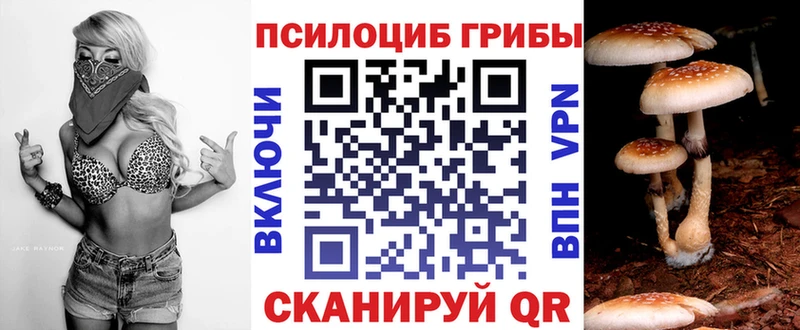 OMG   Ясный  Галлюциногенные грибы GOLDEN TEACHER 